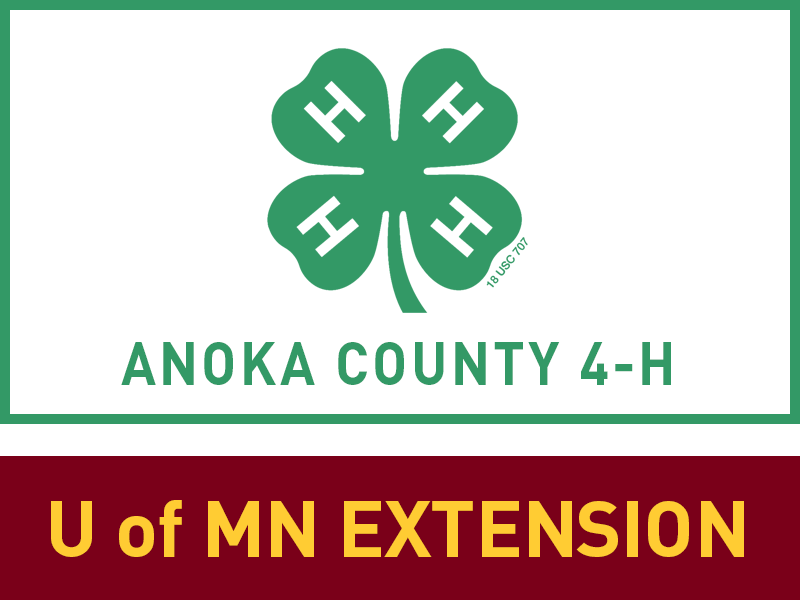 Logo for 2024 Anoka County Fair
