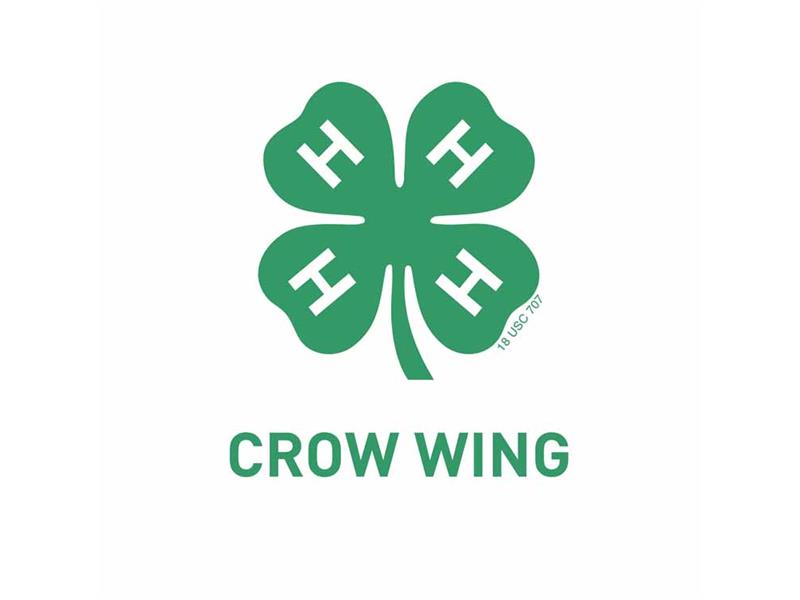 Logo for 2024 Crow Wing County Fair