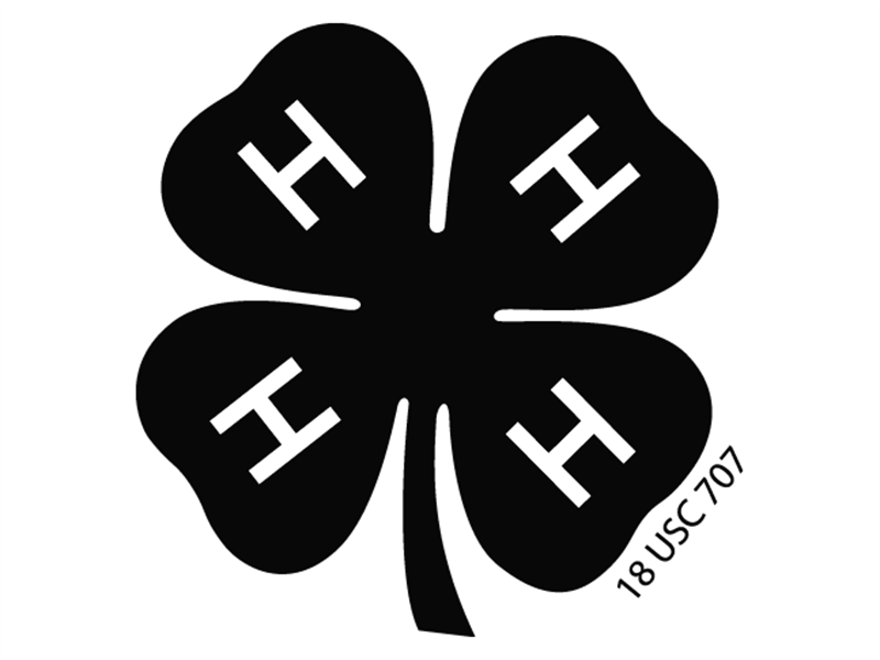 Logo for 2026 St. Clair County Fair